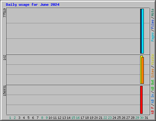 Daily usage for June 2024