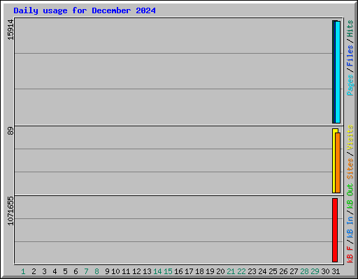 Daily usage for December 2024