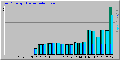 Hourly usage for September 2024