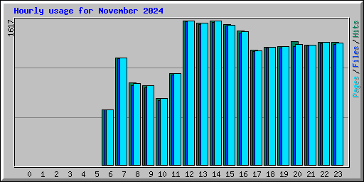 Hourly usage for November 2024