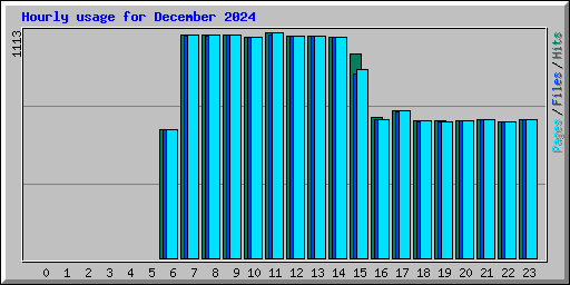 Hourly usage for December 2024