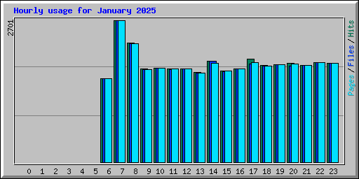 Hourly usage for January 2025