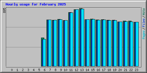 Hourly usage for February 2025