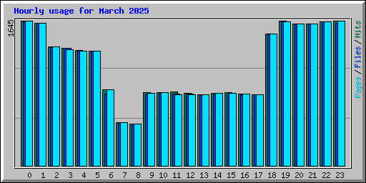 Hourly usage for March 2025